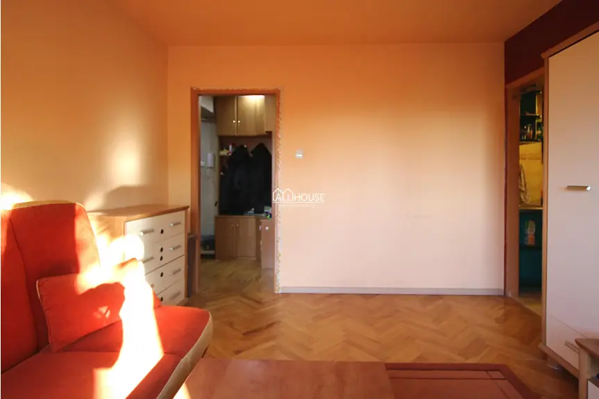 Radom, Borki, 1905 Roku, DWA POKOJE DO WEJŚCIA, 1905 ROKU